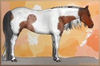 Horse Color:Brown Tobiano Rabicano