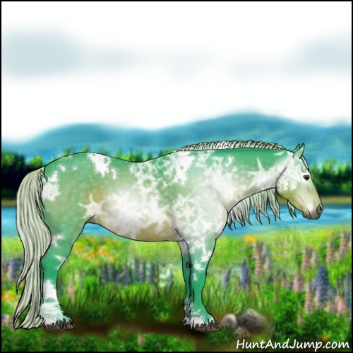 Horse Color:Gray Watercolor White Spotted Silver Brown Ice 