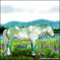 Horse Color:Gray Watercolor White Spotted Silver Brown Ice 
