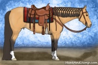 Horse Color:Buckskin Roan 