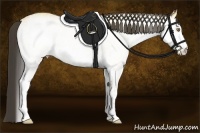 Horse Color:White Spotted Buckskin Dun 