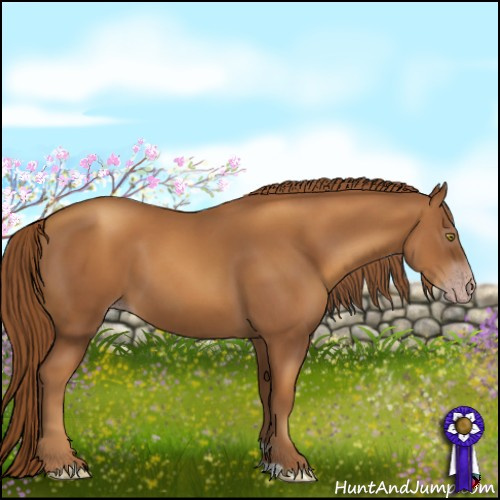 Horse Color:Gray Gold Champagne