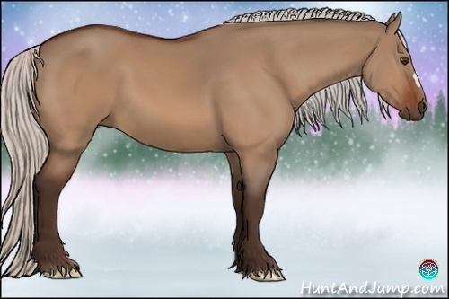 Horse Color:Silver Bay Dun 