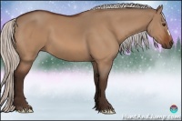 Horse Color:Silver Bay Dun 