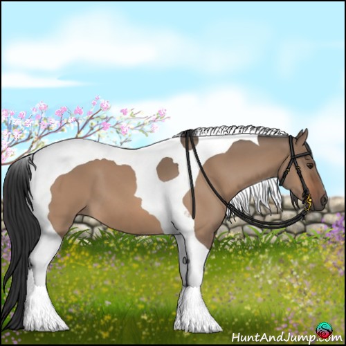 Horse Color:Bay Dun Tobiano 