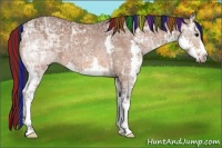 Horse Color:Painted Bay Ice Splash 