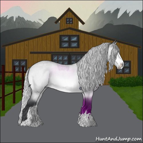 Horse Color:Silver Bay Chinchilla Roan Dun Sabino