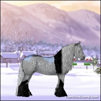 Horse Color:Silver Grullo Chinchilla Sabino Tobiano 