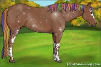 Horse Color:Painted White Spotted Chestnut Rabicano