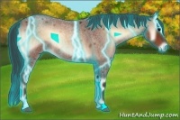 Horse Color:Thunderstruck Bay Roan Onyx