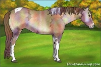 Horse Color:Nacre White Spotted Red Onyx Ice Tobiano
