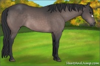 Horse Color:Platinum Brown 