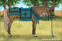 Horse Color:Chocolate Palomino 