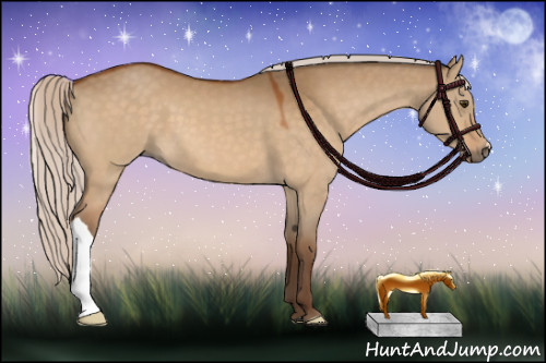 Horse Color:Silver Buckskin Dun 