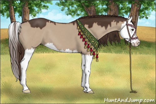 Horse Color:Liver Red Dun Splash 