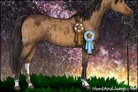 Horse Color:Buckskin Dun Brindle 