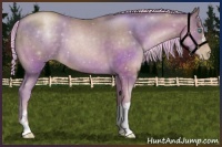 Horse Color:Painted Chocolate Palomino Pearl 