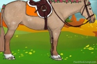 Horse Color:Red Dun