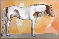 Horse Color:White Spotted Silver Brown Tobiano Rabicano 