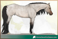 Horse Color:Brown Roan Dun Rabicano 
