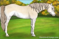 Horse Color:Palomino Roan Onyx Frame 