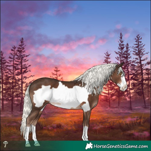 Horse Color:Liver Chestnut Mushroom Frame 