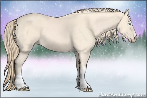 Horse Color:Perlino 