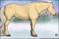 Horse Color:Palomino 