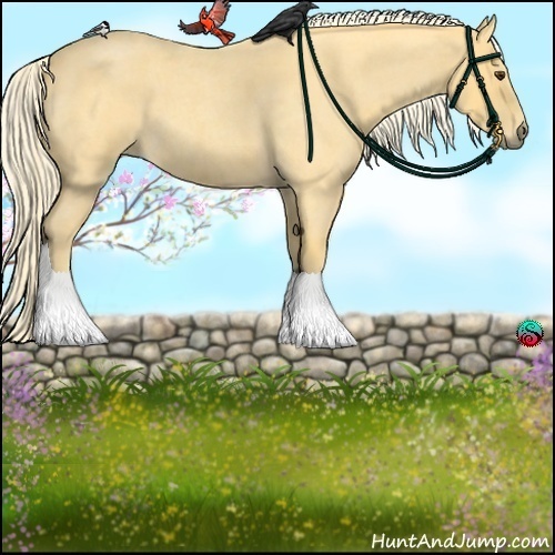 Horse Color:Palomino Roan