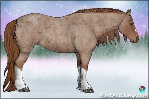 Horse Color:Red Roan 