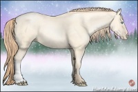 Horse Color:Amber Cream Champagne Pearl 