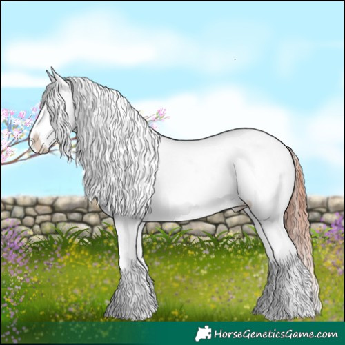 Horse Color:Sable Champagne Tobiano Appaloosa 