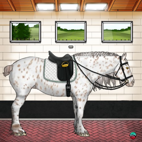 Horse Color:Amber Champagne Appaloosa  and Amber Champagne Appaloosa 