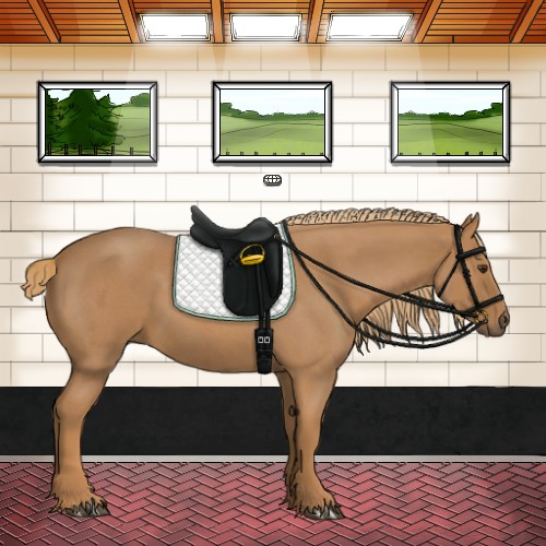 Horse Color:Red Roan 