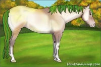 Horse Color:Painted Amber Champagne Onyx