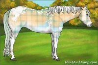 Horse Color:Plaid Silver Buckskin Onyx Tobiano