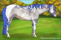 Horse Color:Painted Watercolor Bay Onyx Tobiano Rabicano 