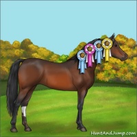 Horse Color:Brown Rabicano 