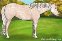 Horse Color:Silver Amber Champagne Ice