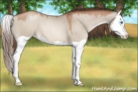 Horse Color:Brown Pearl Dun Splash 