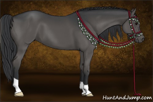 Horse Color:Grullo 