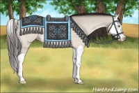 Horse Color:Amber Champagne Dun Splash 