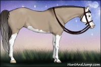 Horse Color:Liver Red Dun Splash 