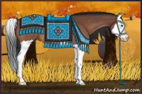 Horse Color:Bay Roan Splash 