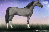 Horse Color:Grullo Roan 