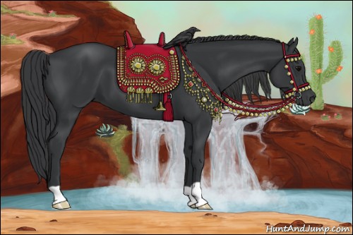 Horse Color:Black 