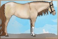 Horse Color:Liver Red Dun Pearl 