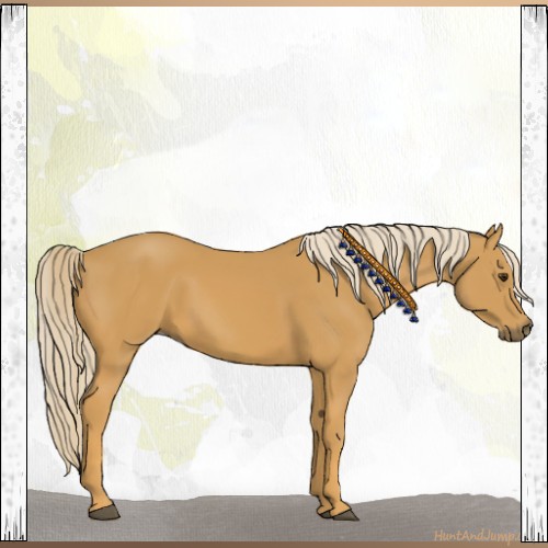 Horse Color:Palomino 