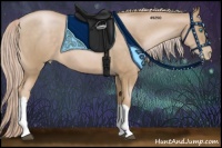 Horse Color:Chocolate Palomino Pearl 