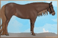 Horse Color:Liver Chestnut 